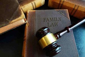 gavel on family law book