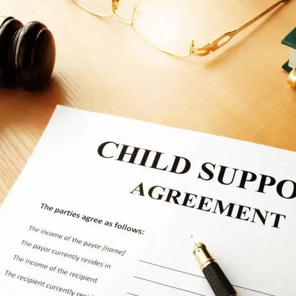 what does child support pay for?